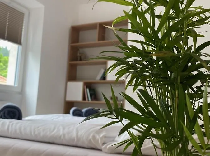 Zdrojowa 9 * ドゥシュニキ・ズドルイ